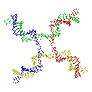 Illustration for article titled Here come the DNA robots